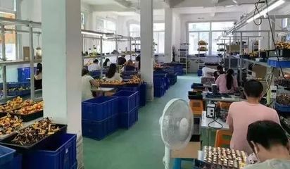 上海查獲小黃人等百余款侵權玩具產品，涉案金額逾2億元