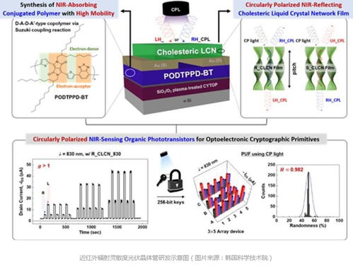 守護未來出行 韓國新型物聯(lián)網(wǎng)安全技術為自動駕駛汽車筑起網(wǎng)絡防線
